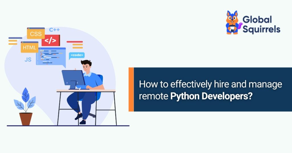 hire remote Python Developers