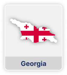 Georgia Employee Payroll Costs