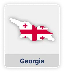 Georgia Employee Payroll Costs