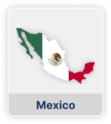 Mexico Employee Payroll Costs